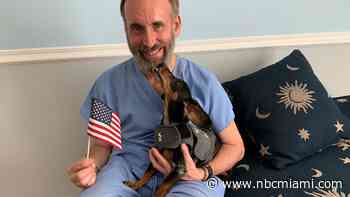 Pets And Fireworks – What You Need To Know To Keep Your Pets Safe