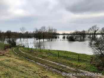 Lanaken en Kinrooi krijgen als eerste Kunst aan de Maas - Het Nieuwsblad