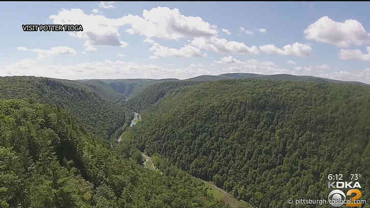 Elk, A Grand Canyon, Starry Skies, And So Much More: Pennsylvania Wilds An Affordable And Close Getaway