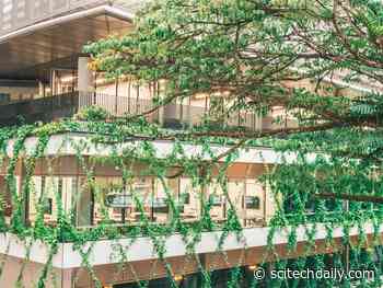 Experiment Shows Vertical Greenery Can Act as a Stress Buffer