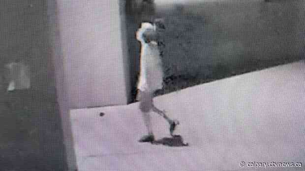 Vandal believed to have injured leg while shattering door at Strathmore, Alta. school: RCMP