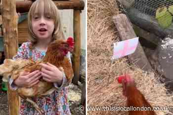 Euro 2020: Psychic chicken predicts England win over Denmark