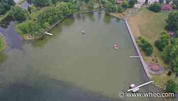 Blue green algae found on north shore of Conesus Lake