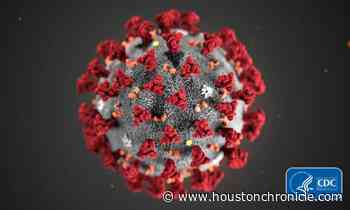 Delta variant confirmed at Houston-area church camp's COVID outbreak that infected more than 125 - Houston Chronicle