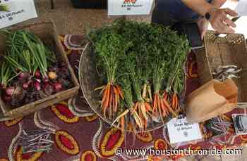 Your definitive guide to Houston's farmers markets - Houston Chronicle