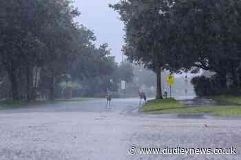 Weakening Elsa makes landfall but Florida spared significant damage - Dudley News