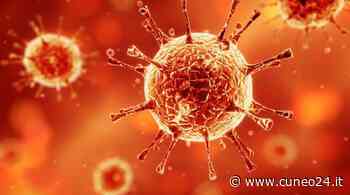 Coronavirus, fermo da nove giorni il numero dei decessi in Piemonte - Cuneo24