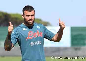 Operazione Mertens: il belga fermo tre mesi, Petagna lo sostituirà - casanapoli.net