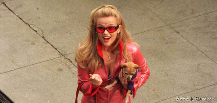 Google Celebrates Legally Blonde's 20th Anniversary with Surprise Easter Egg for Fans to Find!