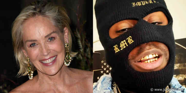 Sharon Stone Is Having 'Hot Girl Summer,' Linked to 25-Year-Old Rapper RMR! (Report)
