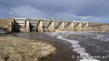 Border farmers report best start to winter cropping in decade