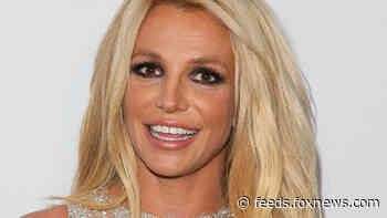 Britney Spears' conservator of person, Jodi Montgomery, wants increased security measures after death threats