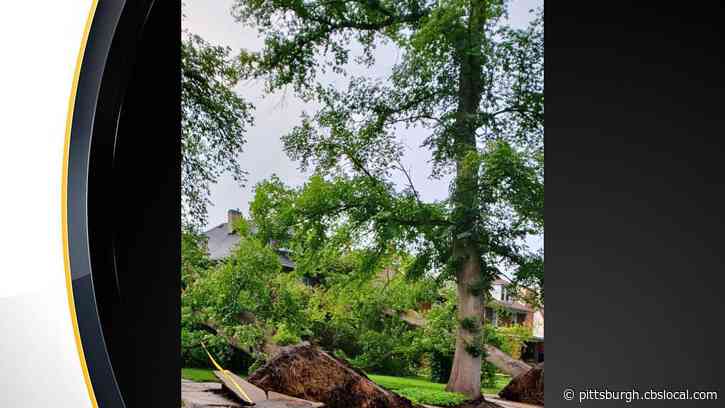 Cleanup Underway After Severe Storms Move Through Western Pennsylvania