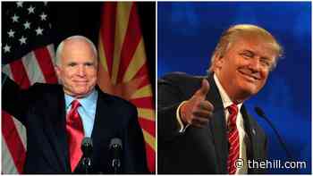 Former aide to John McCain says he 'had such little respect' for Trump