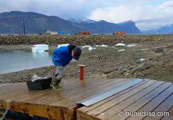 Pangnirtung hunters take to the water for beluga season - Nunatsiaq News