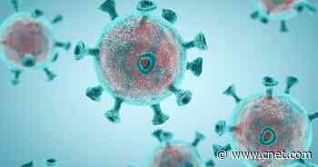 Delta is now the dominant coronavirus variant in the US     - CNET