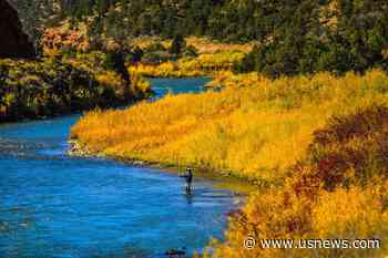 Drought, Heat, Fire Force Fishing Ban on Colorado River