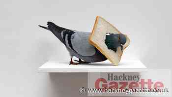 Hang Up gallery Hoxton exhibits women artists Emin and Riley - Hackney Gazette