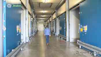 Veiling BelOrta in Borgloon en LRM gaan in zee met start-up Optiflux - TV Limburg