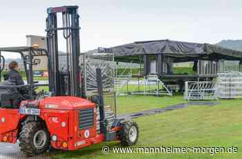 Hirschberg: Johannes Oerding und Revolverheld ausverkauft - Mannheimer Morgen