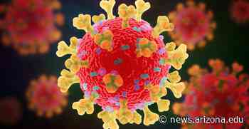 Researchers Find Evidence of a Coronavirus Epidemic 20000 Years Ago - UANews