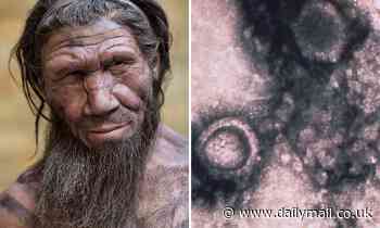The common cold could predate humans and have plagued Neanderthals 700,000 years ago,