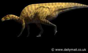 Dinosaur with razor-sharp claws 'like a Swiss Army knife' roamed Spain 130 million years ago