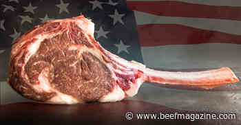 U.S. beef exports to China a consistent bright spot