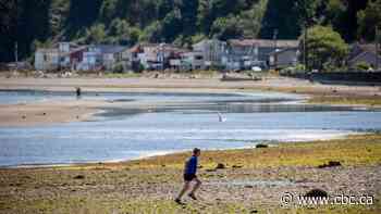 How border restrictions have left a U.S. community stranded and surrounded by Canada