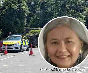 Woman arrested after Wembley woman Mee Chong found headless