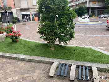 A Borgosesia erba sintetica in alcune aiuole della città - tgvercelli.it