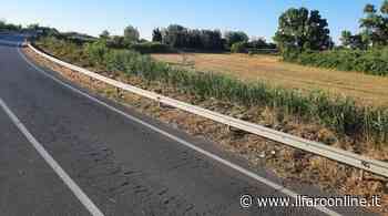 Fiumicino, Caroccia: “Prosegue a pieno ritmo l'opera di sfalcio dell'erba infestante su tutto il territorio” - Il Faro online