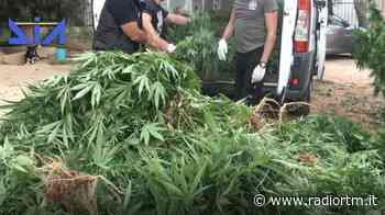 Da Ragusa a Rosarno: “Dove cresce l'erba dei clan di mafia” | Radio RTM Modica - Radio RTM Modica