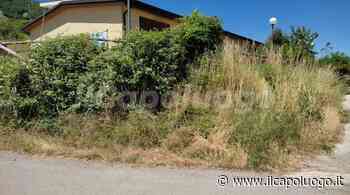 Tornimparte, erba alta e serpenti ai MAP - Il Capoluogo