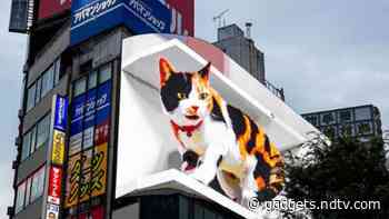 Giant 3D Cat Comes to Life in Huge Billboard in Tokyo, Japan