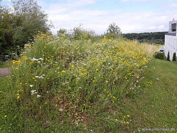„DEHOGA Umweltcheck“ in Gold: Wilken Gourmet GmbH arbeitet klimaneutral