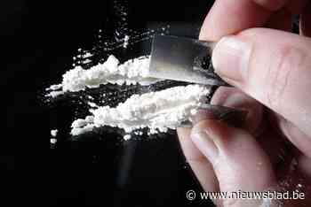 Duo veroordeeld voor handel in cocaïne