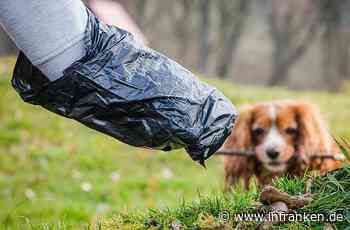Aschaffenburg: Unbekannter wirft Kotbeutel mit Steinen an Auto und in den Garten - Polizei sucht Zeugen - inFranken.de