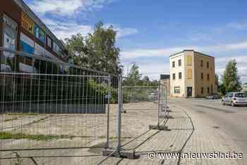 Hekken en cameratoezicht tegen sluikstort aan Lageweg Hoboken - Het Nieuwsblad