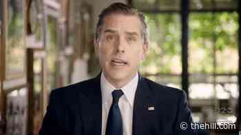 Hunter Biden artwork attracts ethics scrutiny: report
