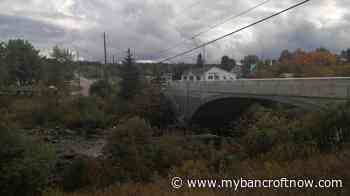 South Algonquin Township looking for resident to help perform weddings - mybancroftnow.com