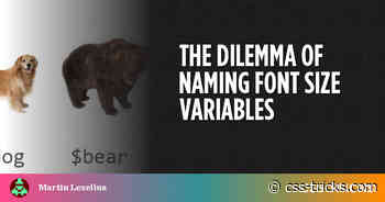 The Dilemma of Naming Font Size Variables