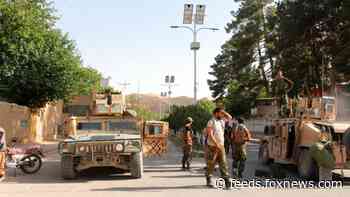 Iran hosts high-level Afghan peace talks as fighting surges