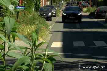 Alleen wijkbewoners nog welkom: protest tegen camera's in Collegewijk groeit - Gazet van Antwerpen