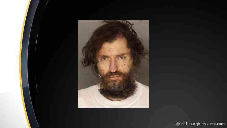 Police: Intruder Found Showering In Bethel Park Apartment