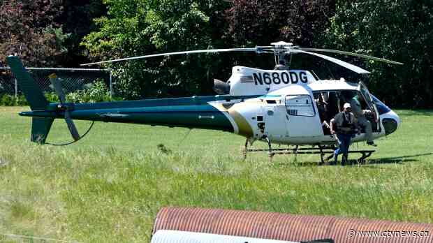 Bear pulls woman out of her tent, kills her in Montana