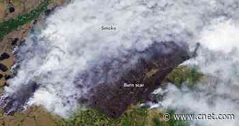 NASA tracks ominous Siberian wildfires in smoke-filled views from space     - CNET