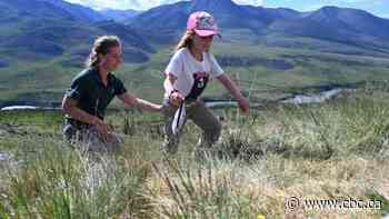 N.W.T. residents experience 'another world' in Yukon's Ivvavik National Park