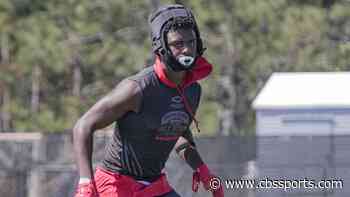 LSU football recruiting: Four-star LB DeMario Tolan commits to Tigers over over Clemson, Tennessee