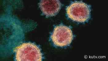July 8 data: 668 new coronavirus cases reported; 2 more deaths - KUTV 2News